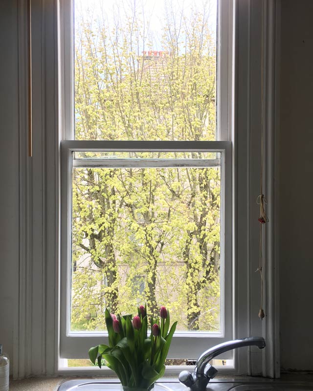 box sash windows brighton hove